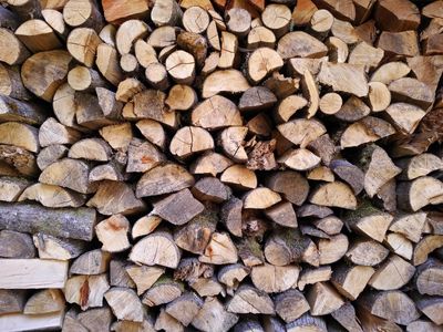 Image for Wood Products
